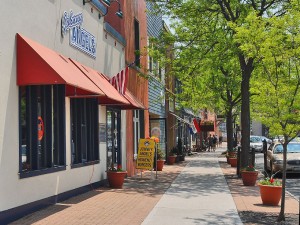 Restaurants and shopping in downtown Skaneateles - Skaneateles Lake, Skaneateles house rental