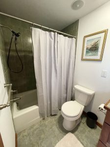 Master Bathroom/Tub/Shower