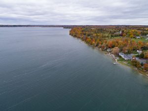 Fall- Aerial view